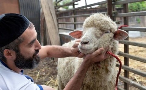 Qurban ibadəti 