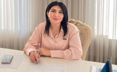 Azərbaycanda yazıçı problemi yoxdur - DEPUTAT